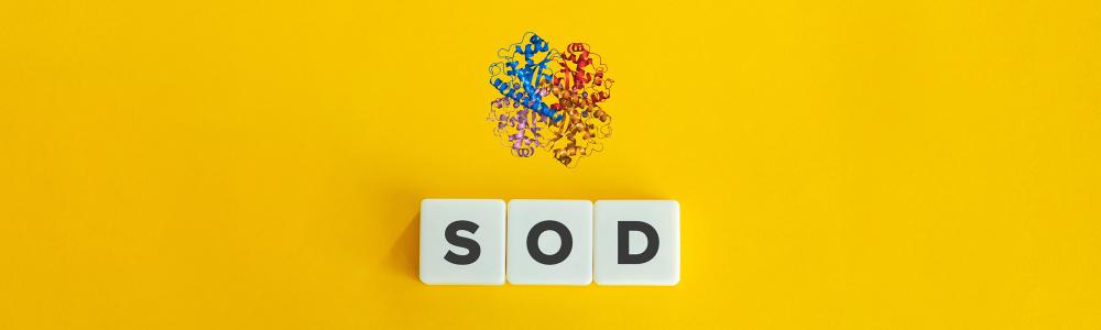SOD: An Acronym Worth Exploring