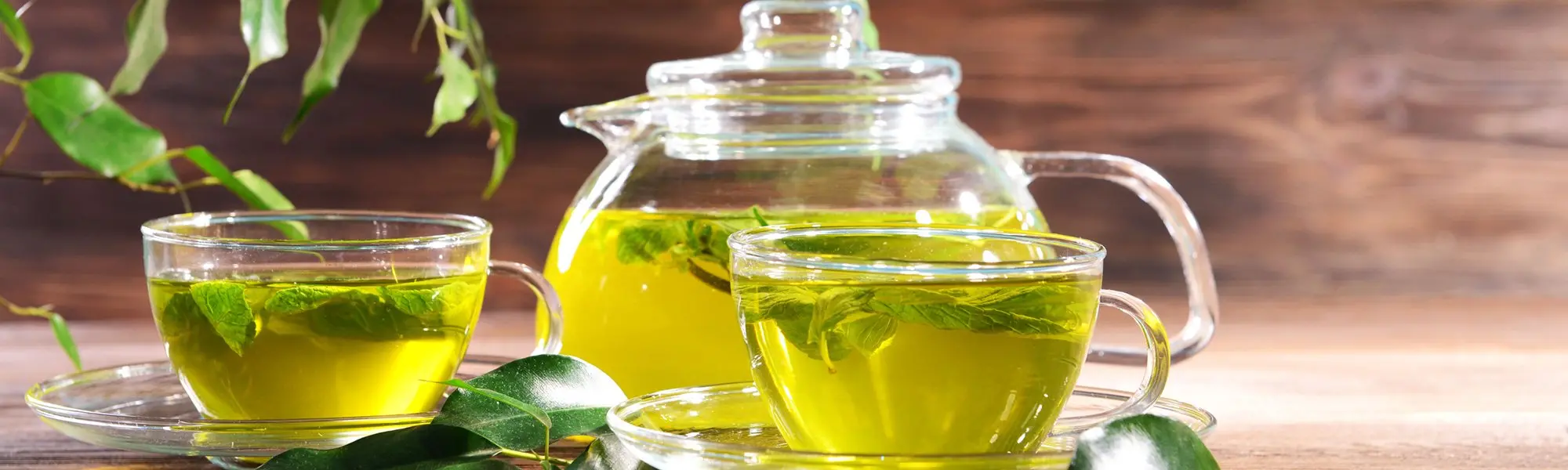 Green Tea and L-Theanine—Effects on Cognition and Attention During Stress