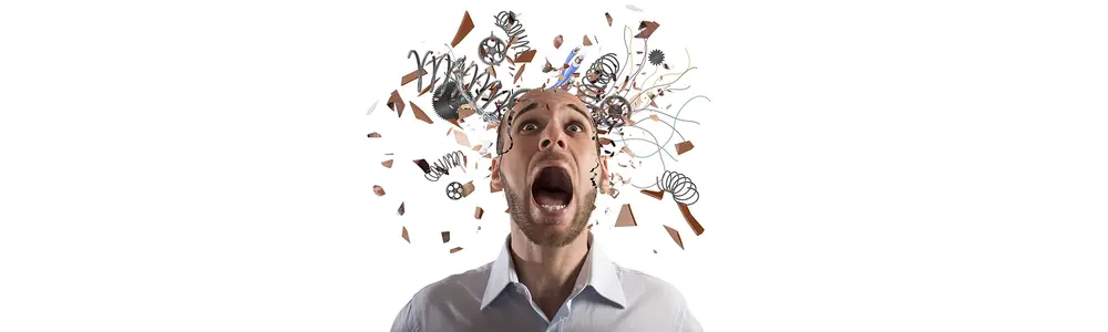 Emotional Stress and the Brain: Naturopathic Perspectives