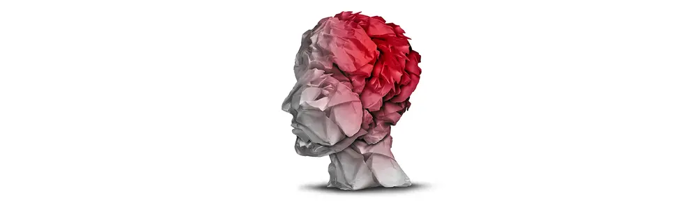 The Impact of Cerebral Concussions