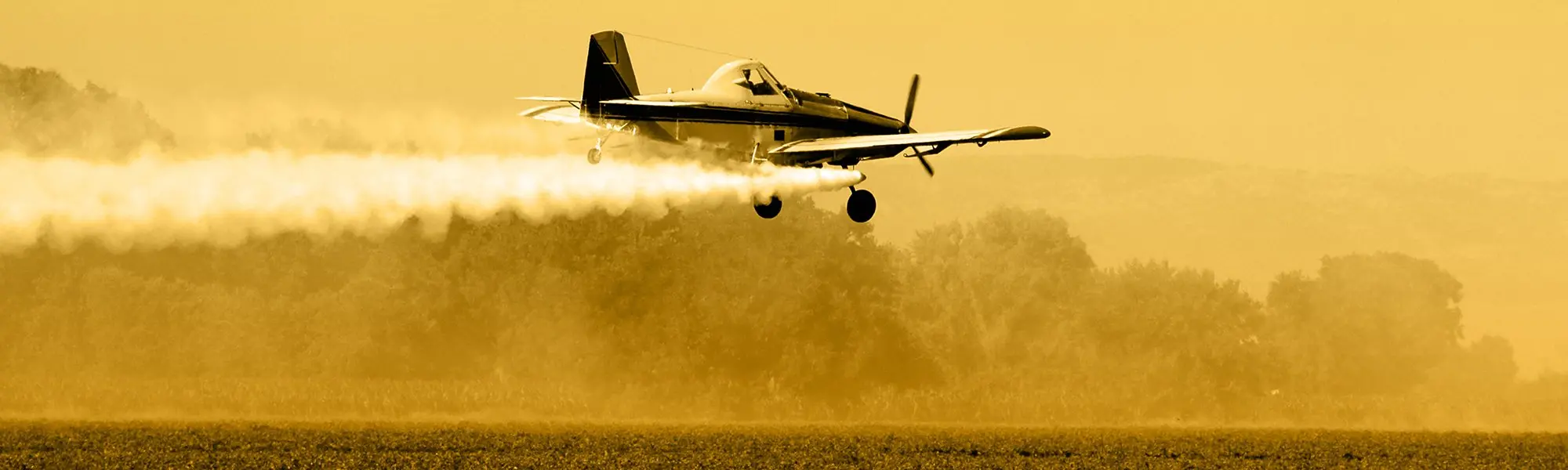 The Problem with Pesticides
