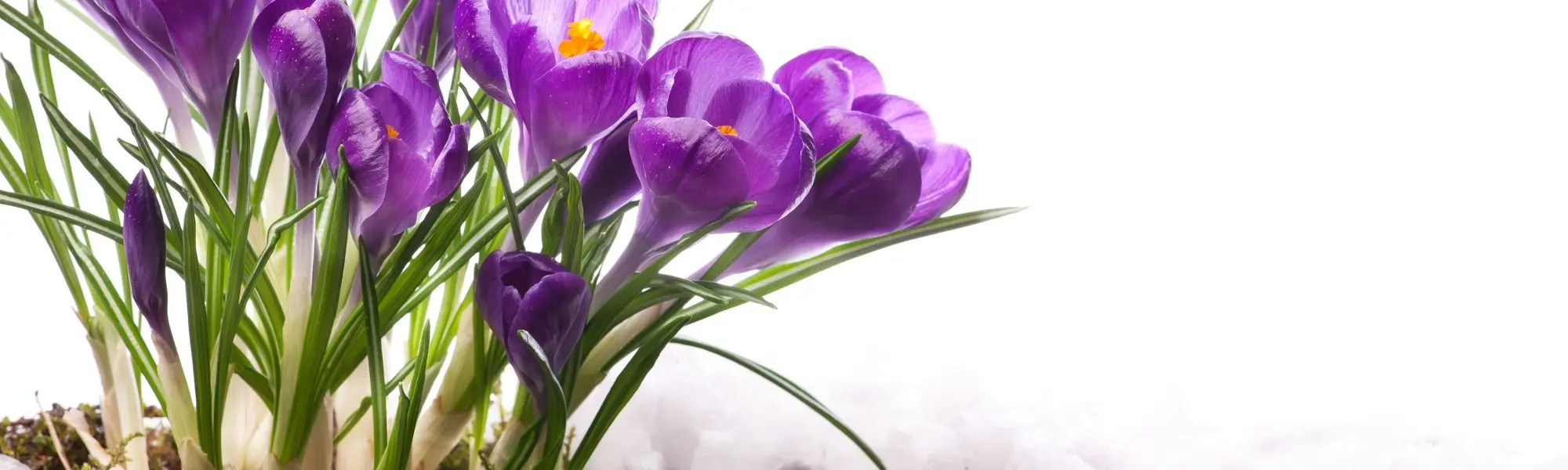 Transformation Through HOPE-Centered Intentional Living