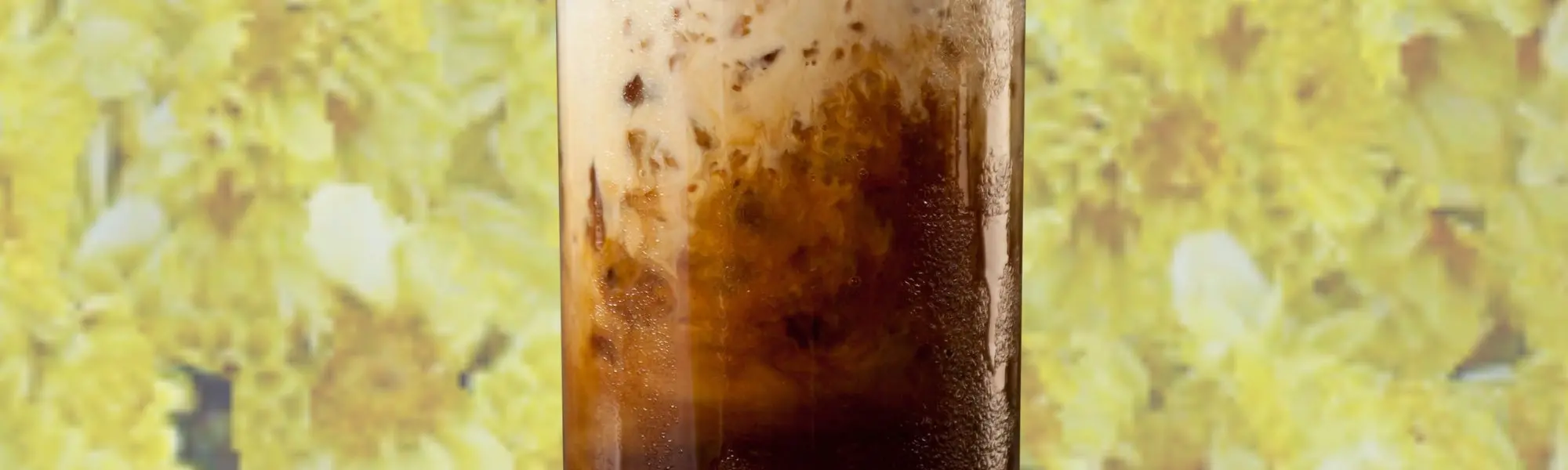 Momentum Cold Brew