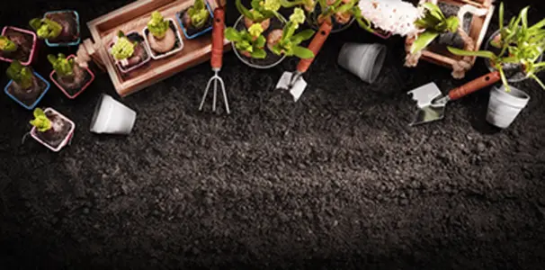 Gardening for Health