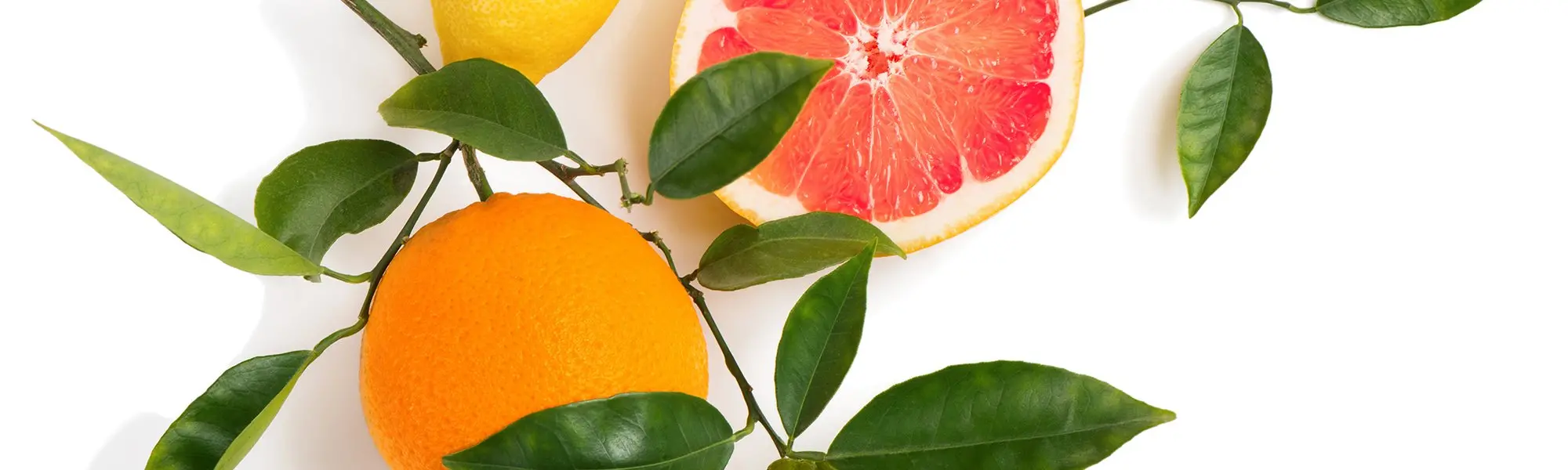 Modified Citrus Pectin