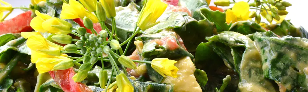 Raw Kale and Avocado Salad