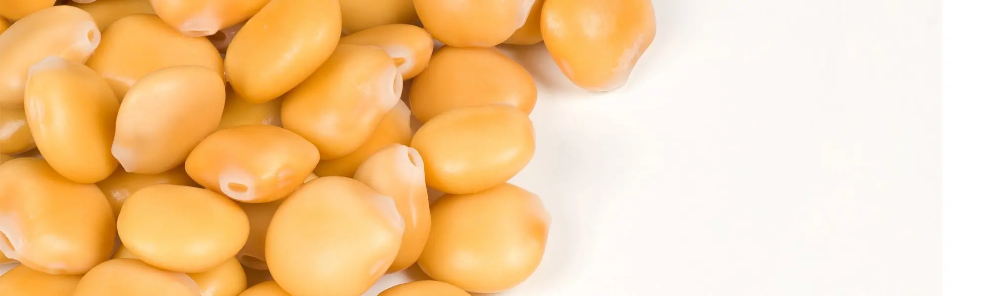 "Pump It Up" with Lupine and Pumpkin Seeds