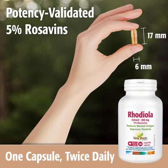 Rhodiola