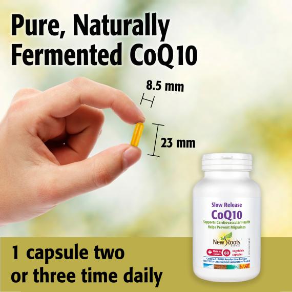 Slow Release CoQ10